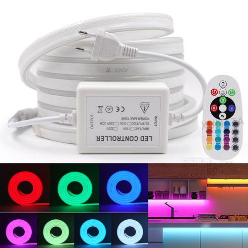 Luce neon striscia led - neon, rgb
